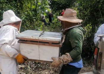 La entrega de estas colmenas y las acciones complementarias evidencian el compromiso del MAGA con el desarrollo. / Foto: MAGA.