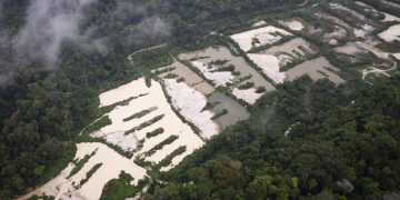 Fotografía captada por medio de la vigilancia satelital muestra una zona minera ilegal en la Amazonía brasileña.