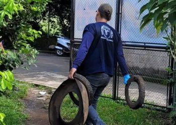 Salud insta a no bajar la guarda en la constante lucha contra el dengue