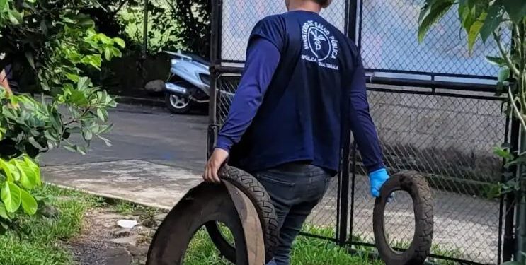 Salud insta a no bajar la guarda en la constante lucha contra el dengue