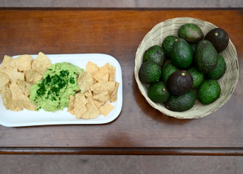 El aguacate Hass de Guatemala será exportado a Estados Unidos. / Foto: Byron de la Cruz.