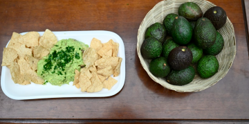 El aguacate Hass de Guatemala será exportado a Estados Unidos. / Foto: Byron de la Cruz.