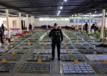 Los resultados obtenidos en los primeros meses de 2024 superan las expectativas. / Foto: DCA.