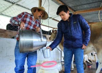 La leche es mucho más que una bebida nutritiva; es un alimento completo que favorece el desarrollo y la salud general. / Foto: MAGA