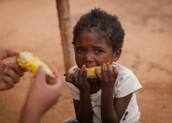 Agencias de Naciones Unidas advierten sobre estadísticas de personas que pasan hambre en el mundo. / Foto: ONU.