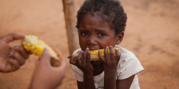 Agencias de Naciones Unidas advierten sobre estadísticas de personas que pasan hambre en el mundo. / Foto: ONU.