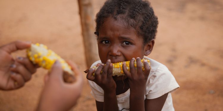 Agencias de Naciones Unidas advierten sobre estadísticas de personas que pasan hambre en el mundo. / Foto: ONU.