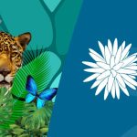 Modelo de concesiones forestales en Guatemala despierta interés en Colombia