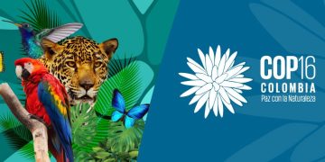 COP16. / Foto: Cancillería