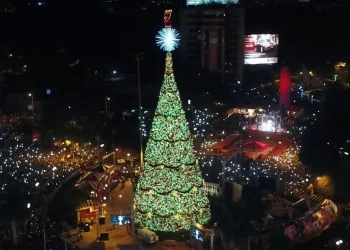 Municipalidad anuncia cierres vehiculares por el encendido de Árbol Gallo