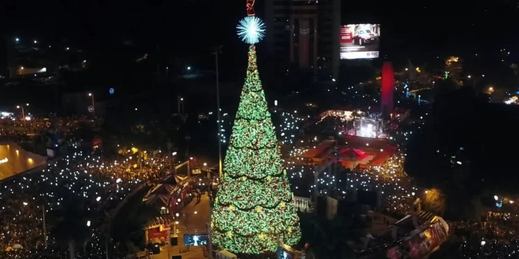 Municipalidad anuncia cierres vehiculares por el encendido de Árbol Gallo