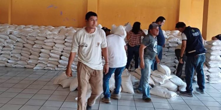 El compromiso con la infancia también se refleja en la atención brindada. / Foto: MAGA