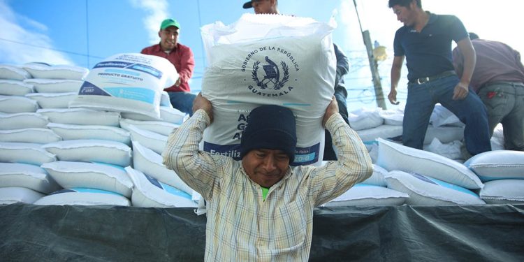 Miles de campesinos de Sololá se beneficiarán con la entrega del Bono Campesino, que el Gobierno entrega por medio del MAGA.