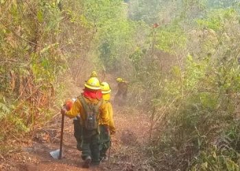 Quines llenen los requisitos integrarán las brigadas de respuesta a emergencias de la Conred.
