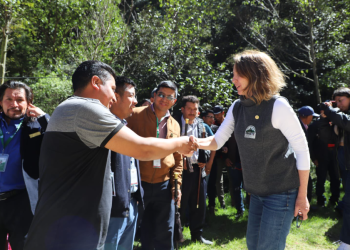 Comunitarios y la ministra de Ambiente coincidieron en la importancia de proteger la especie del pinabete. / Foto: MARN.