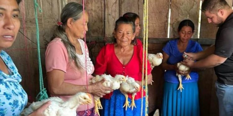 Comunitarios de Petén reciben asistencia técnica en cuidado de aves de corral. / Foto: MAGA.