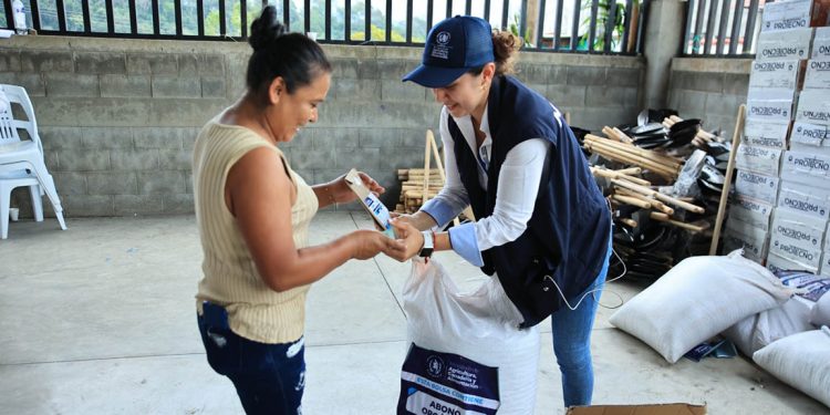 Entregarán 43 mil 772 sacos de fertilizantes en Totonicapán