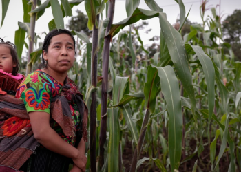 Convocan a mujeres indígenas para cargo de Defensora de la Mujer Indígena. / Foto: Noé Pérez.