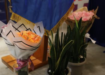 El 2024 fue un excelente año para la exportación de flores y follajes. / Foto: cortesía Agexport