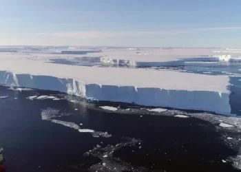 Hielo marino impacta en la preservación del Ártico. / Foto: Telemundo.