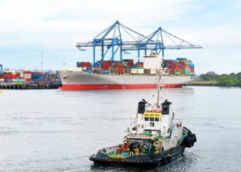 Las estadísticas son recopiladas para su uso en el análisis y pronóstico económico. También se puede consultar información sobre comercio exterior/ Foto: cortesía INE