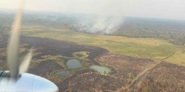 La crisis climática aumenta la “ecoansiedad” entre los adolescentes