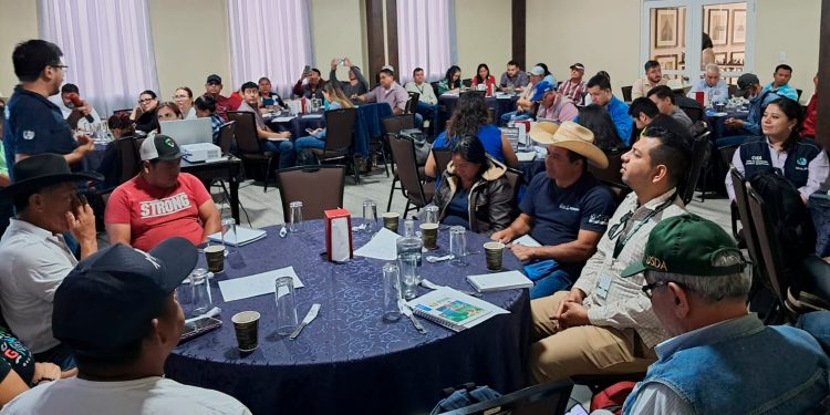 Insivumeh fortalece Mesas Técnicas Agroclimáticas en Jutiapa, Quetzaltenango y Zacapa, para generar recomendaciones para disminuir los riesgos asociados a la variabilidad del clima para reducir su posible impacto en los cultivos de cada región. / Foto: Insivumeh.