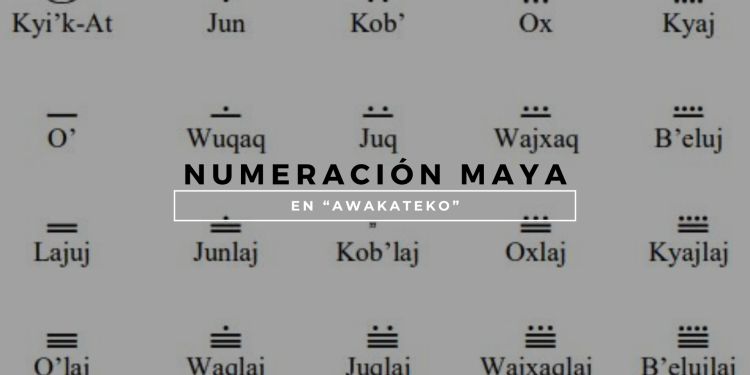 Numeración maya en "awakateko". / Arte: AGN.