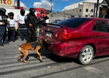 Localizan droga dentro de vehículo interceptado. / Foto: PNC