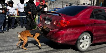 Localizan droga dentro de vehículo interceptado. / Foto: PNC