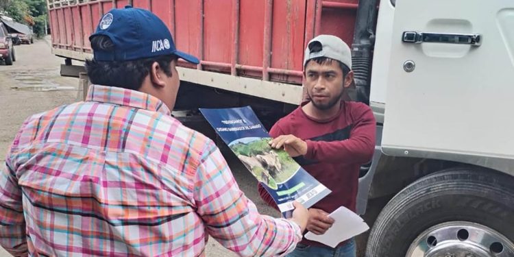 MAGA ha detectado y tratado 44 casos del gusano barrenador