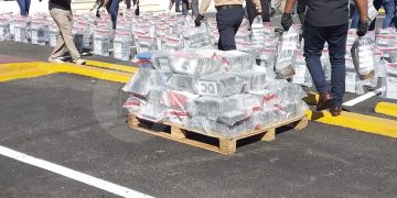 Incautación de un contenedor con aproximadamente 9.8 toneladas de cocaína en el Puerto de Caucedo, República Dominicana. / Foto; Mingob.