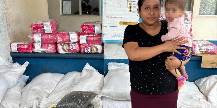 Atienden a familias con niños con desnutrición aguda. / Foto: MAGA.