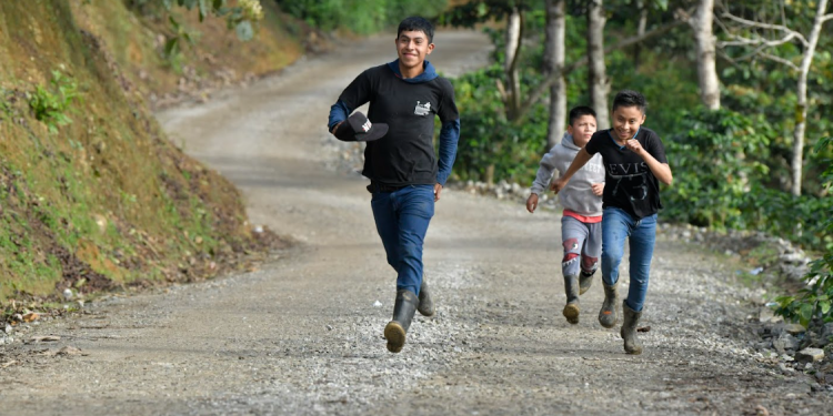 Gobierno del presidente Arévalo supera los mil kilómetros de caminos terciarios rehabilitados este año. / Foto: Alex Jacinto.