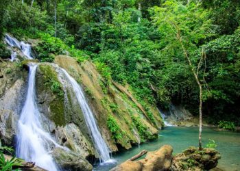 Seguimiento de proyectos para el desarrollo de comunidades del Cerro San Gil en Izabal