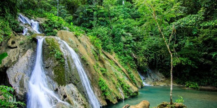 Seguimiento de proyectos para el desarrollo de comunidades del Cerro San Gil en Izabal