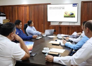 Tanto Guatemala como Belice reafirmaron su intención de trabajar conjuntamente en beneficio de los productores ante el gusano barrenador. / Foto: MAGA.