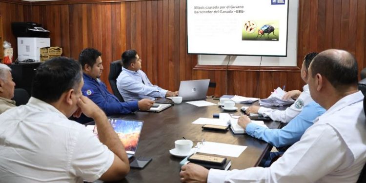 Tanto Guatemala como Belice reafirmaron su intención de trabajar conjuntamente en beneficio de los productores ante el gusano barrenador. / Foto: MAGA.