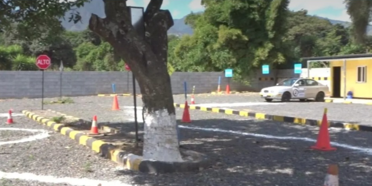 Para obtener mayor información o consultar los horarios específicos, se sugiere visitar las plataformas digitales del Departamento de Tránsito. / Foto: DT-PNC.