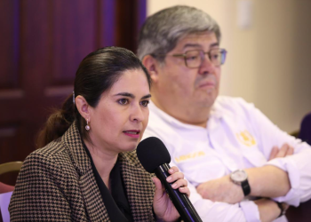 Viceministra Claudia Palencia develó los resultados contra los delitos que afectan la actividad económica. / Foto: Mingob.