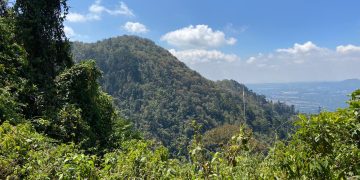 Las montañas albergan amplia biodiversidad. / Foto: Inab.