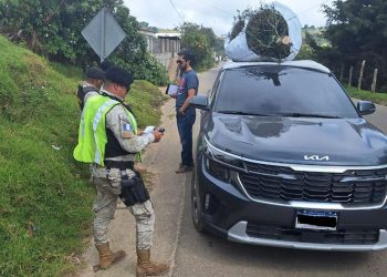 Policías Diprona intensifica campaña para proteger el pinabete en Jalapa