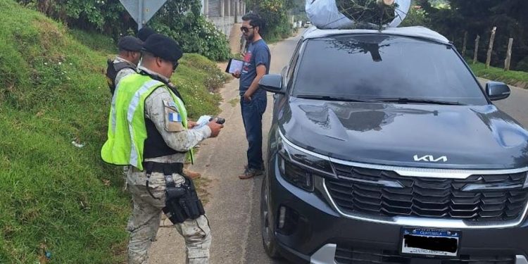 Policías Diprona intensifica campaña para proteger el pinabete en Jalapa