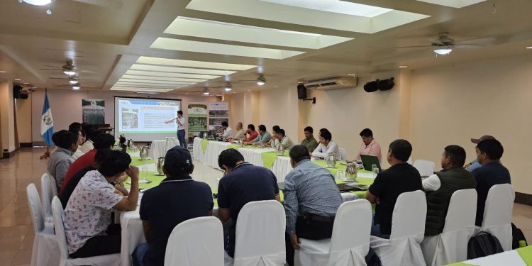 Inab impulsa taller de restauración forestal en Petén