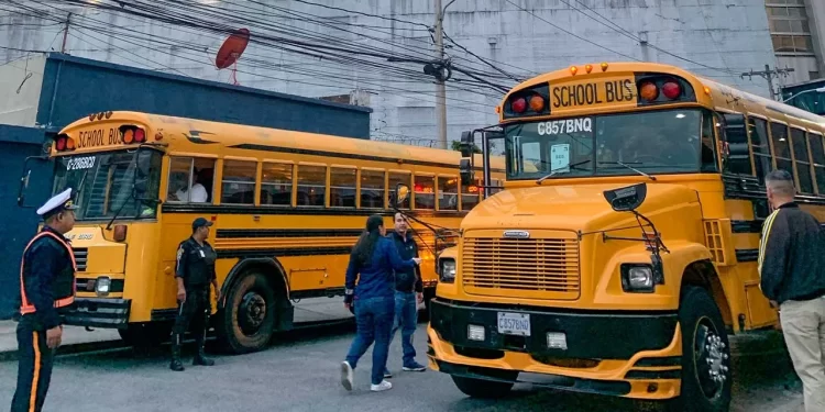Buses escolares. // Foto: Buses Choher.