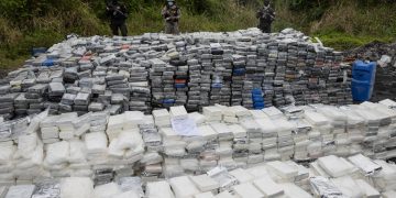 Las 9.8 tonoladas de cocaína que se descureron en diciembre en un puerto de República Dominicana llegaron meses antes de Colombia.