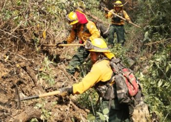 La Conred señala que el combate a los incendios y sus efectos es una tarea de todos.