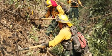 La Conred señala que el combate a los incendios y sus efectos es una tarea de todos.