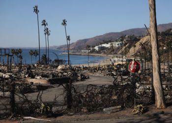 Consulado de Guatemala en Los Ángeles asiste a familias afectadas por incendios. / Foto: EFE.