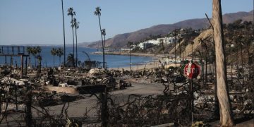 Consulado de Guatemala en Los Ángeles asiste a familias afectadas por incendios. / Foto: EFE.